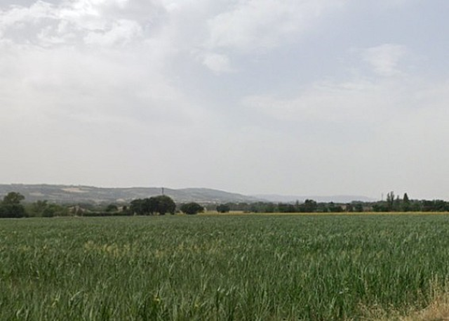 Licitazione privata per la concessione in affitto di terreni agricoli a Todi